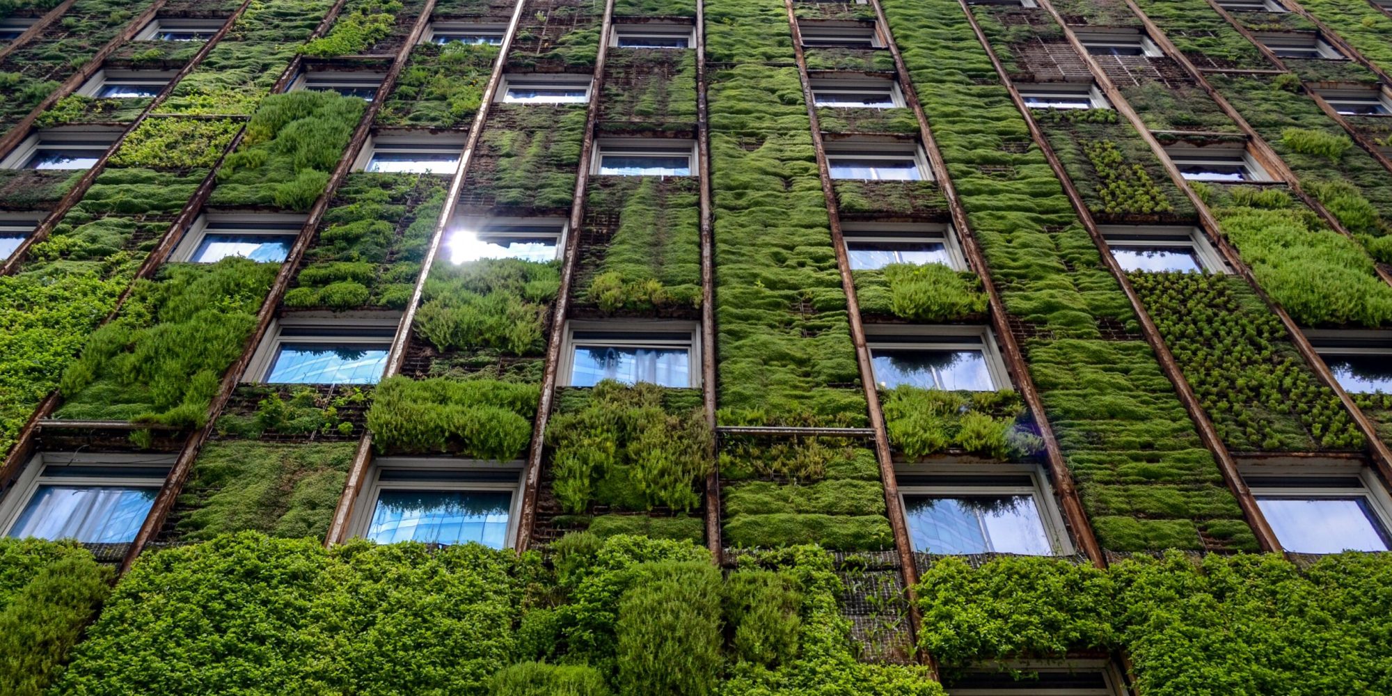 image of sustainable property investment