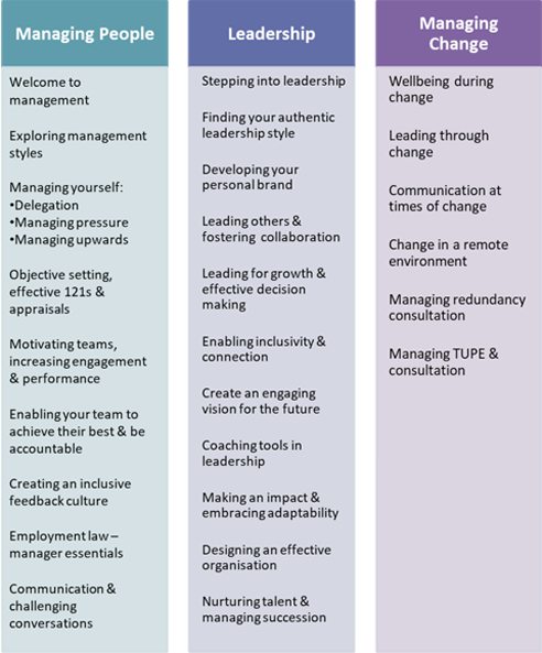 McLean HR courses for managers and leaders. image of leadership development chart